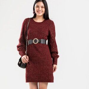 Francesca’s Charlotte Burgundy/Purple Silver Metallic Thread Knit Sweater Dress